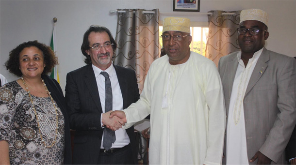 Photovoltaic flagship project